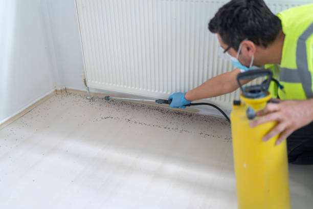 Reliable Viera West, FL Pest Control Solutions