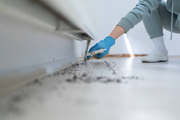 Best Residential Pest Control  in Viera West, FL